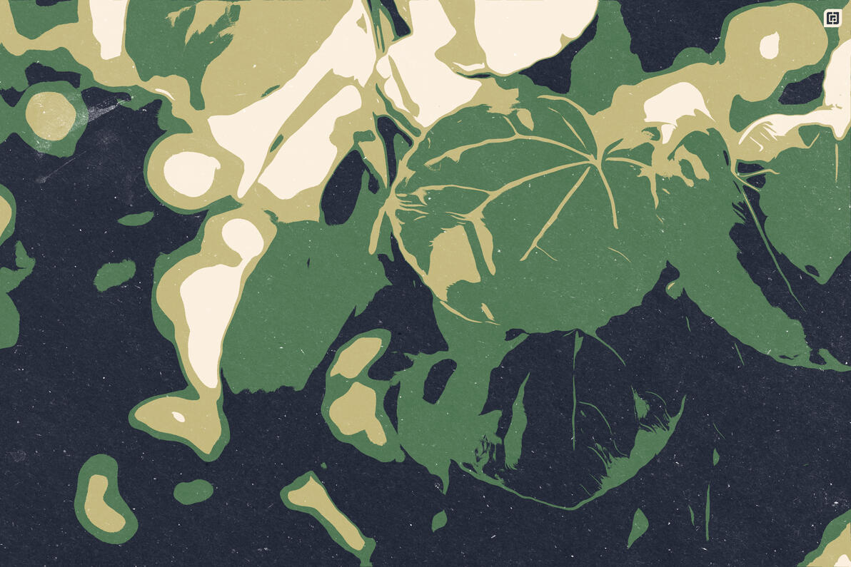 Vector Stencil Effect Raster Art: Leaves (Color) 2023 • Adobe Photoshop